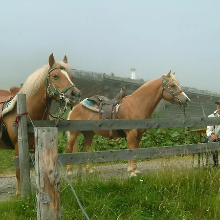 Pension Knappenhof * Fleres