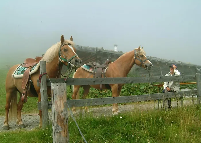 Pension Knappenhof * Fleres